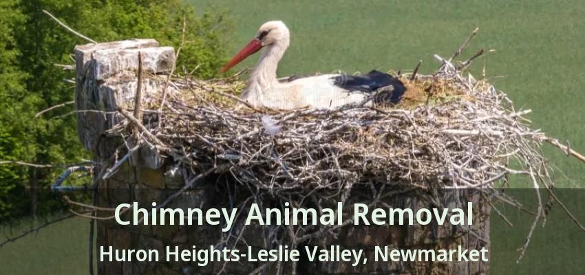 Chimney Animal Removal Huron Heights-Leslie Valley, Newmarket - ON