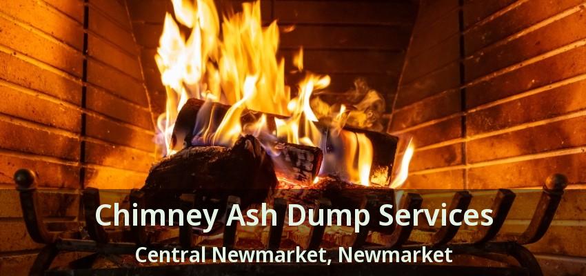 Chimney Ash Dump Services Central Newmarket, Newmarket - ON