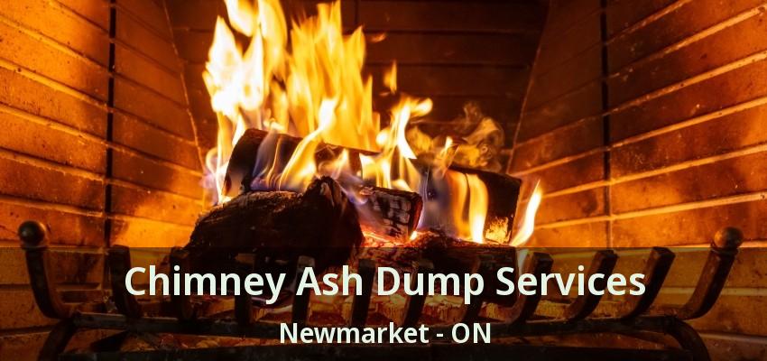 Chimney Ash Dump Services Newmarket - ON