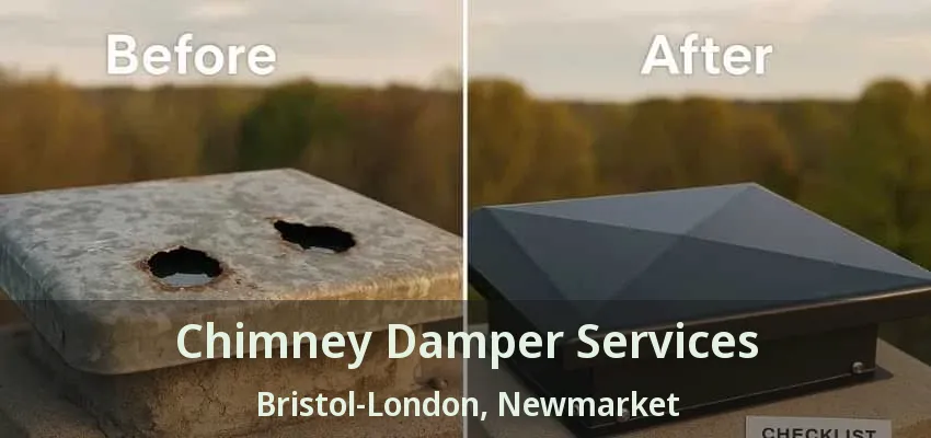 Chimney Damper Services Bristol-London, Newmarket - ON