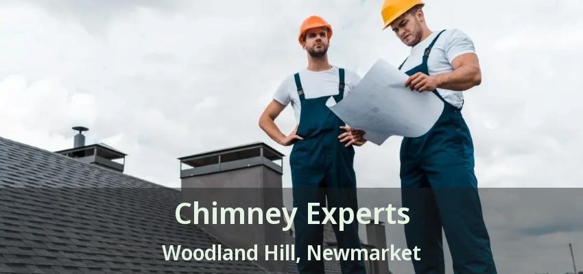 Chimney Experts Woodland Hill, Newmarket - ON