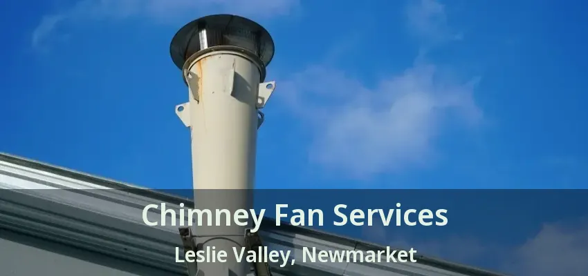 Chimney Fan Services Leslie Valley, Newmarket - ON