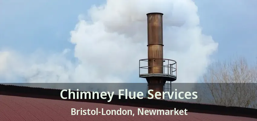 Chimney Flue Services Bristol-London, Newmarket - ON