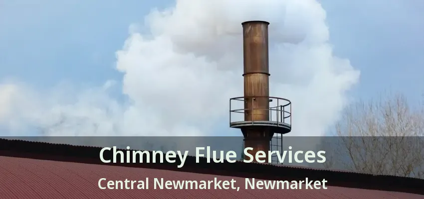 Chimney Flue Services Central Newmarket, Newmarket - ON