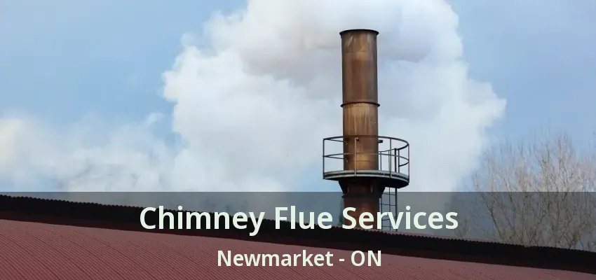 Chimney Flue Services Newmarket - ON