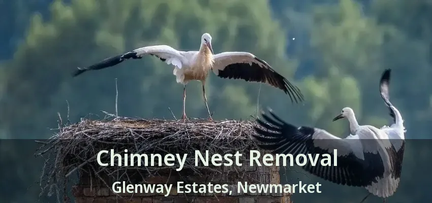 Chimney Nest Removal Glenway Estates, Newmarket - ON