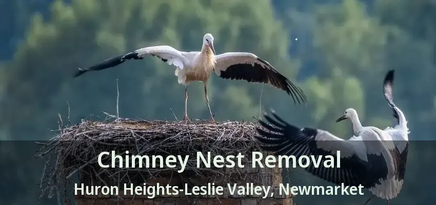 Chimney Nest Removal Huron Heights-Leslie Valley, Newmarket - ON