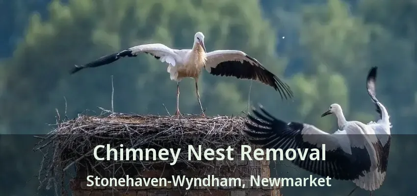 Chimney Nest Removal Stonehaven-Wyndham, Newmarket - ON