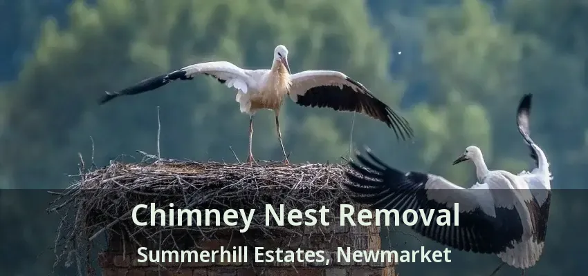 Chimney Nest Removal Summerhill Estates, Newmarket - ON