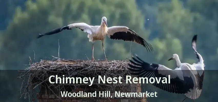 Chimney Nest Removal Woodland Hill, Newmarket - ON
