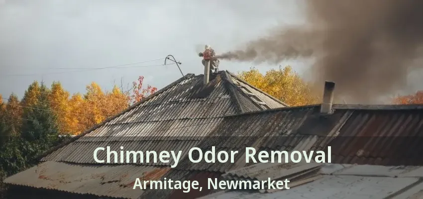 Chimney Odor Removal Armitage, Newmarket - ON