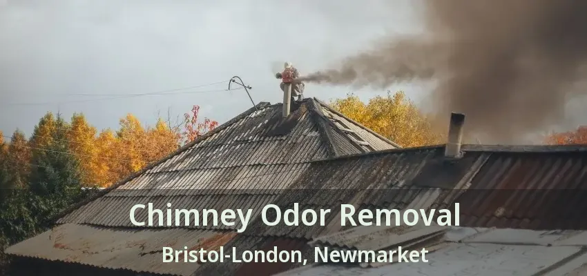 Chimney Odor Removal Bristol-London, Newmarket - ON