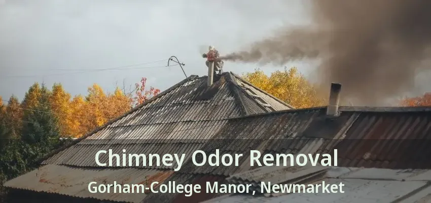 Chimney Odor Removal Gorham-College Manor, Newmarket - ON