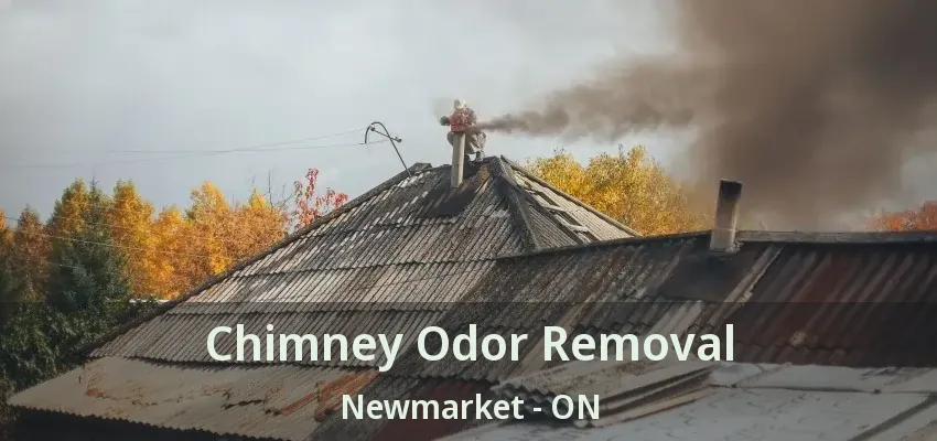 Chimney Odor Removal Newmarket - ON