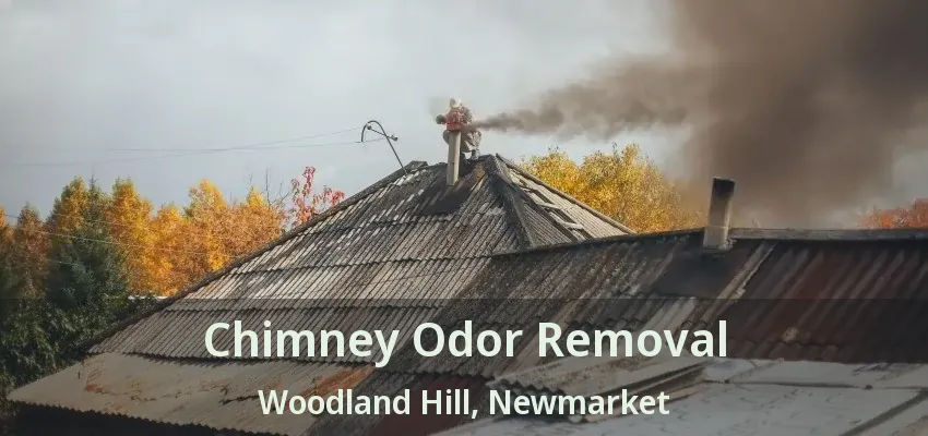 Chimney Odor Removal Woodland Hill, Newmarket - ON