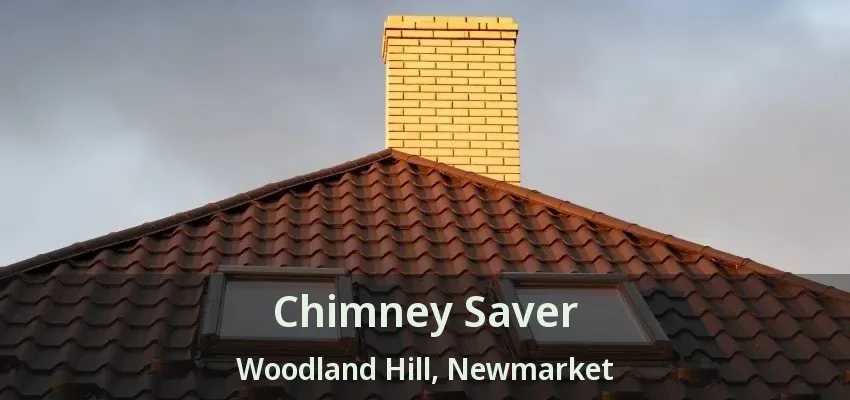 Chimney Saver Woodland Hill, Newmarket - ON
