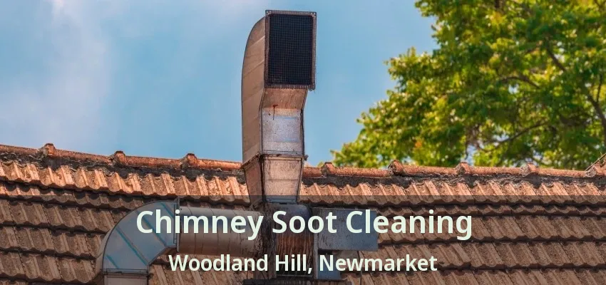 Chimney Soot Cleaning Woodland Hill, Newmarket - ON