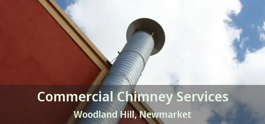 Commercial Chimney Services Woodland Hill, Newmarket - ON