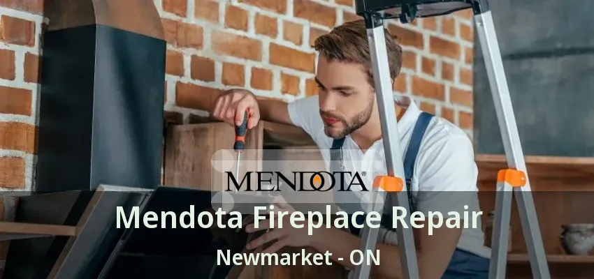 Mendota Fireplace Repair Newmarket - ON