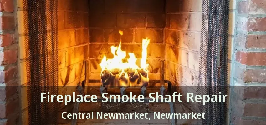 Fireplace Smoke Shaft Repair Central Newmarket, Newmarket - ON