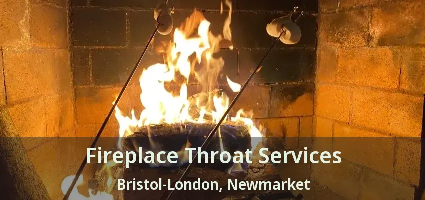 Fireplace Throat Services Bristol-London, Newmarket - ON