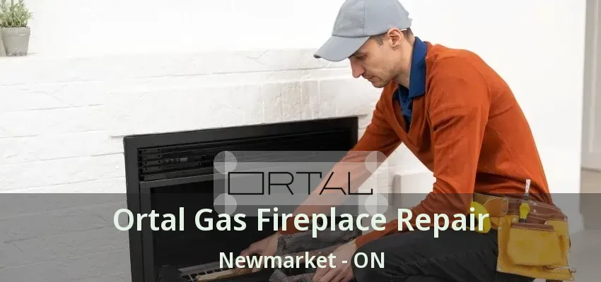 Ortal Gas Fireplace Repair Newmarket - ON