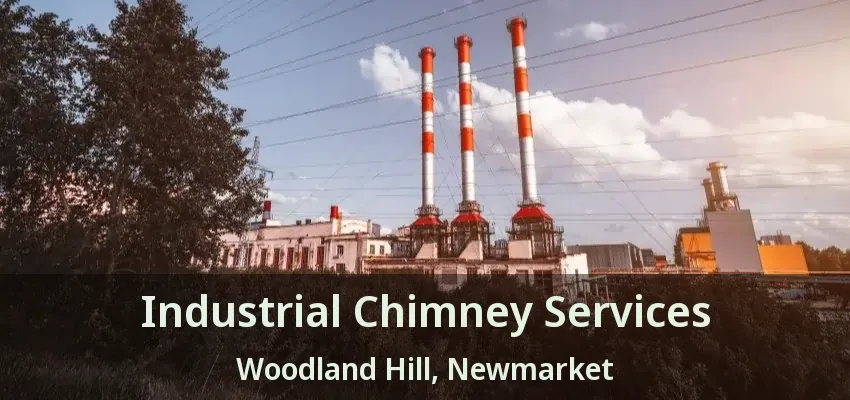 Industrial Chimney Services Woodland Hill, Newmarket - ON