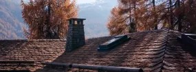 Chimney Animal Removal Bristol-London, Newmarket