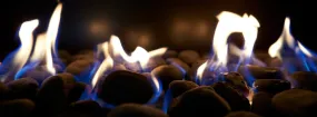 Gas Fireplace Embers Bristol-London, Newmarket